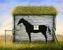 Black_Horse