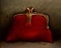Red_Purse