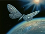 Winged_Satellite